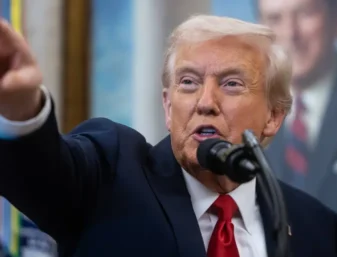AfD Donald Trump