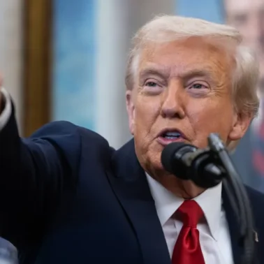 AfD Donald Trump