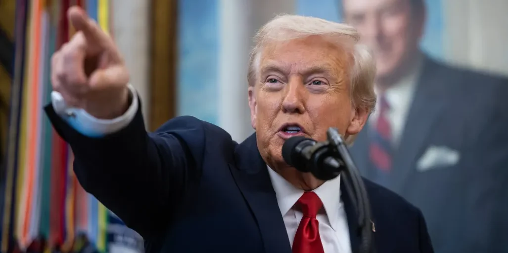 AfD Donald Trump